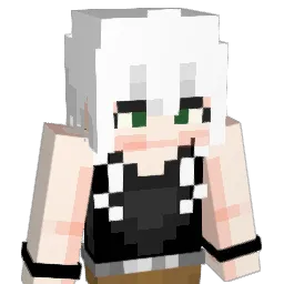 duzi432 Minecraft avatar bust