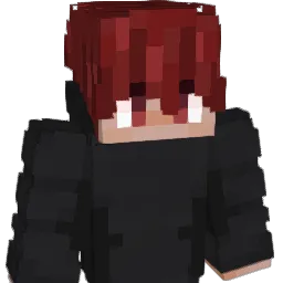 duziy Minecraft avatar bust