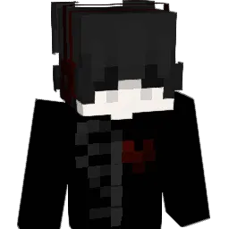 dvd_19 Minecraft avatar bust