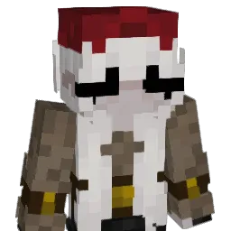 dvves