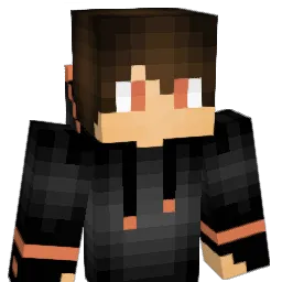 dwasd8 Minecraft avatar bust