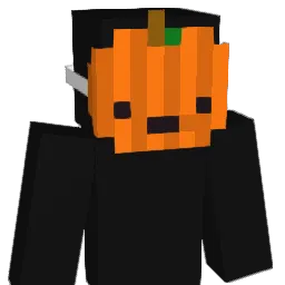 dwisd_ Minecraft avatar bust