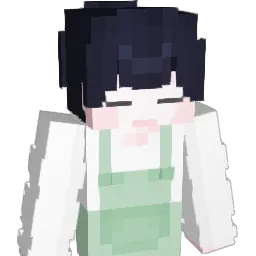 dwnnn_ Minecraft avatar bust