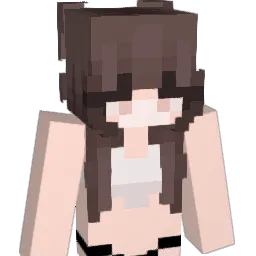 dwzwf Minecraft avatar bust