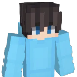 dx040404 Minecraft avatar bust