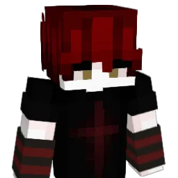 dxmxnkxn Minecraft avatar bust