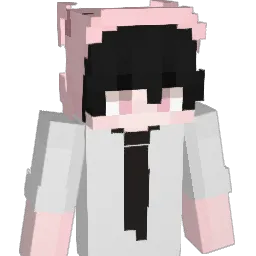 dxquyfn Minecraft avatar bust