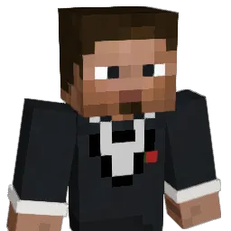 dxse Minecraft avatar bust