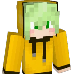 dy0814 Minecraft avatar bust