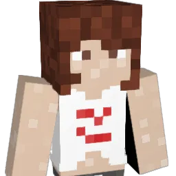 dy14an Minecraft avatar bust