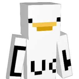 dydrndtk Minecraft avatar bust