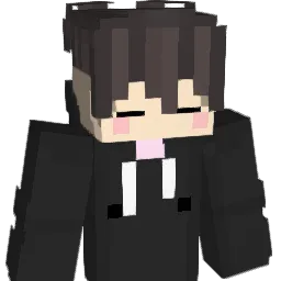 dygks576 Minecraft avatar bust