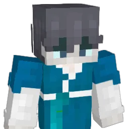 dz1324 Minecraft avatar bust