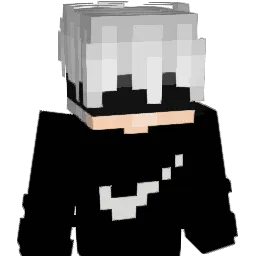 dzony3001 Minecraft avatar bust