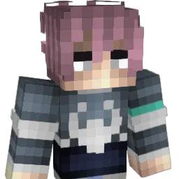 e1j Minecraft avatar bust