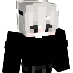 DidntEvenAsk's skin