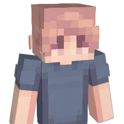 eBoyDomi Minecraft avatar bust