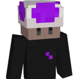 eGamoo Minecraft avatar bust