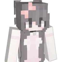 eN5CC Minecraft avatar bust
