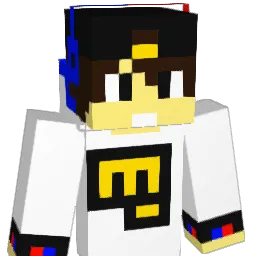 eReachX Minecraft avatar bust