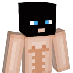 e_mann99 Minecraft avatar bust