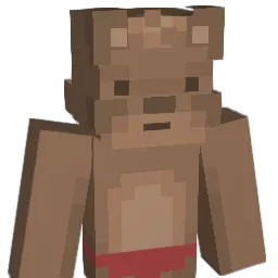 e_zii Minecraft avatar bust