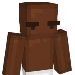 eatdatpuh445 Minecraft avatar bust