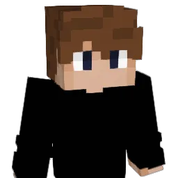 ebrvrmn's Minecraft skin