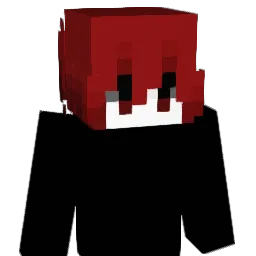 jnvisble's skin
