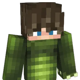 edr_10 Minecraft avatar bust