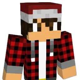 edu101010 Minecraft avatar bust