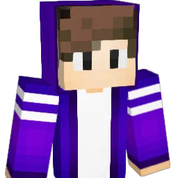 edu_daora Minecraft avatar bust