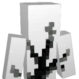 Misegogo's skin