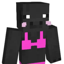 eeRohan Minecraft avatar bust