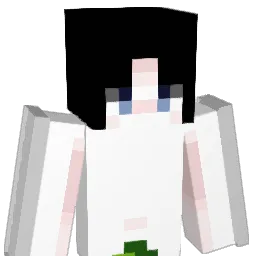 eeean__ Minecraft avatar bust