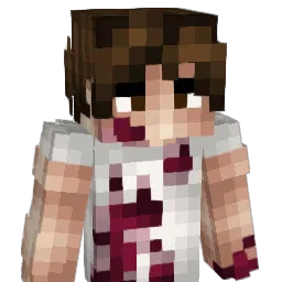 ehnkaerozay Minecraft avatar bust