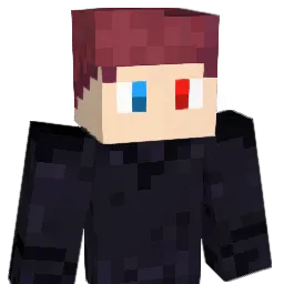 eicu Minecraft avatar bust