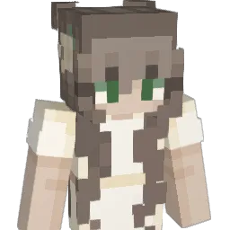 einADHS's Minecraft skin
