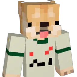 einsteinkoning Minecraft avatar bust