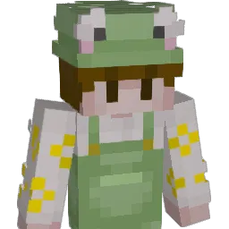 ej6276 Minecraft avatar bust