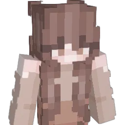 ejthedj0001 Minecraft avatar bust