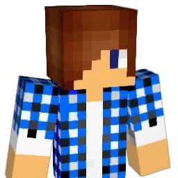 ejw04 Minecraft avatar bust