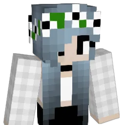 el3r1 Minecraft avatar bust
