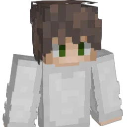 el56 Minecraft avatar bust