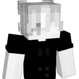 el_misio Minecraft avatar bust