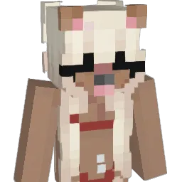 elevok