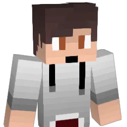 elgallo9775 Minecraft avatar bust