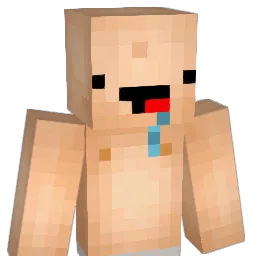 elitanko14 Minecraft avatar bust