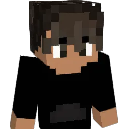 elkinsda