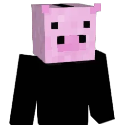 ellalink1 Minecraft avatar bust